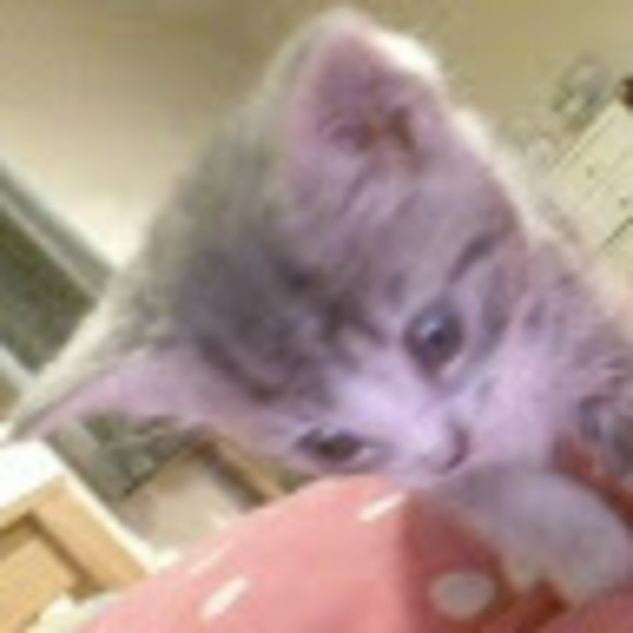 Meet your Posher, T - Picture 1 of 1